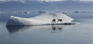 photo by Mads Pihl - Visit Greenland