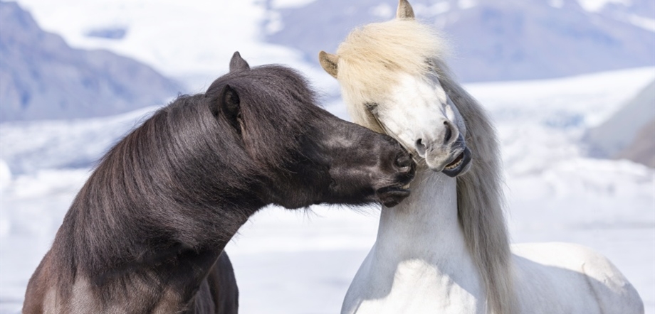 Photo by Iceland Travel Center