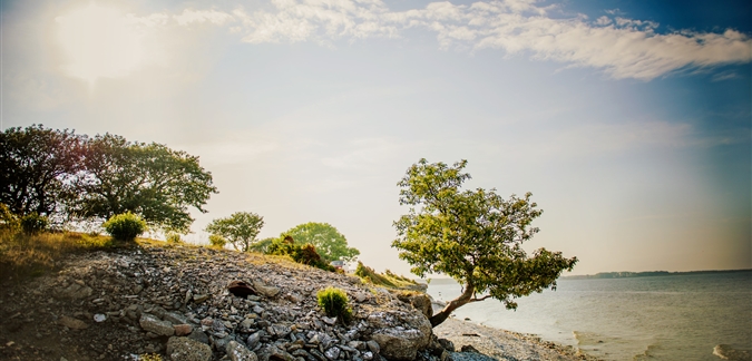 Photo by Simon Paulin imagebank/sweden.se