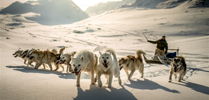 Photo by Mads Pihl - Visit Greenland