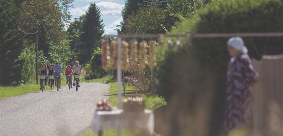 Cycling in Baltics