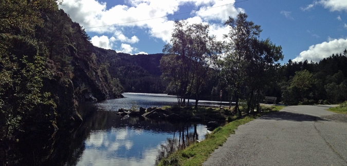 Nordic walking by Elin Sandal