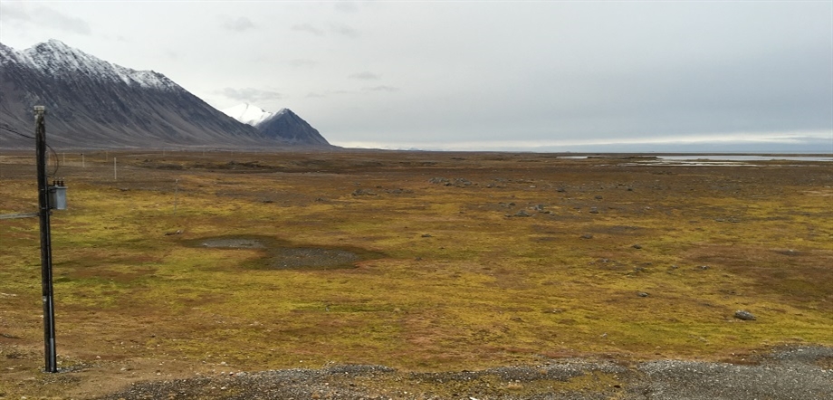 Summer scenery in Svalbard. Credit: Birthe Nielsen/Baltic Travel Company