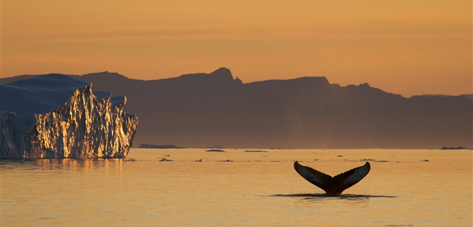 Photo by Julie Skotte - Visit Greenland