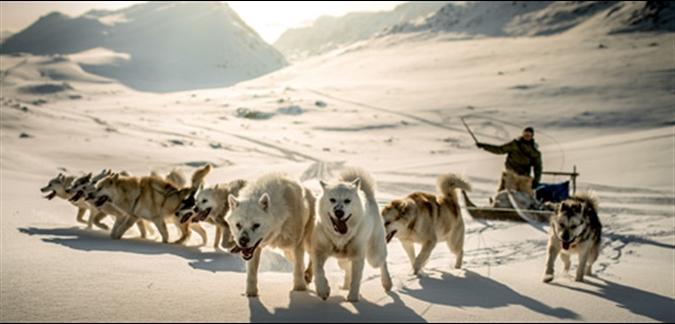 Photo by Mads Pihl - Visit Greenland