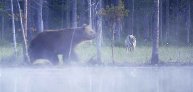 Photo bt Staffan Widstrand/Visit Finland