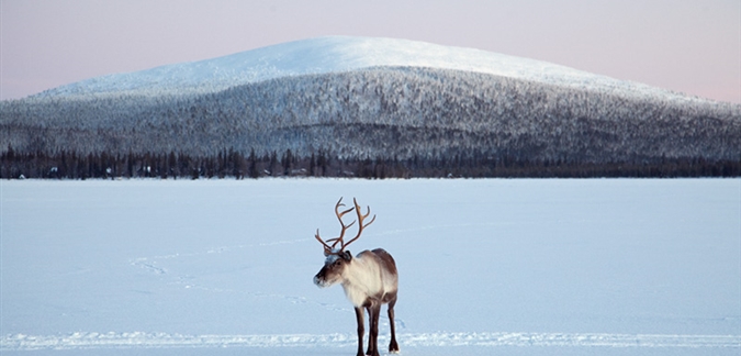 Photo by Torassieppi Lapland