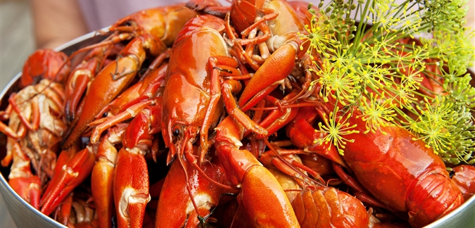 Photo by Cecilia Larsson imagebank.sweden.se