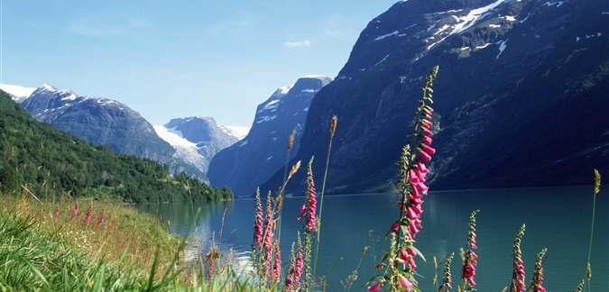 Photo by Fjord Norway