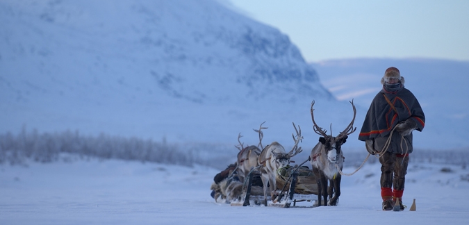 Photo by Staffan Widstrand/imagebank.sweden.se