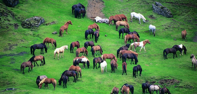 Photo by Visit Iceland